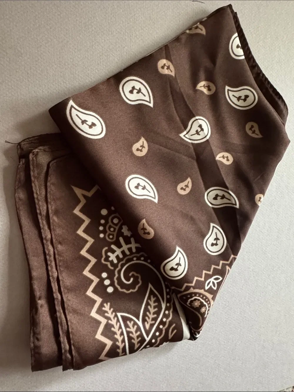 Brown Paisley Scarf M808
